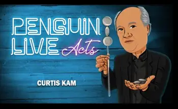 Curtis Kam Pingvinas Gyventi AKTAS