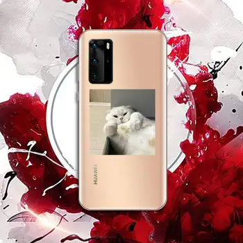 Cute kačių Telefono dėklas Skaidrios Huawei P20 30 P40 garbę 8 10i P smart 2019 Samsung A71 A21S S10 20 plus