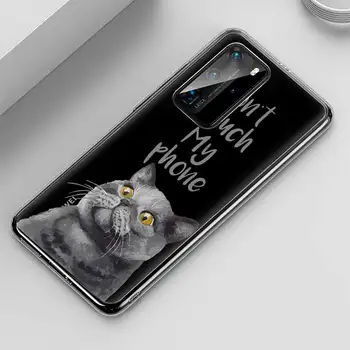 Mielas Funny Cat Telefoną Atveju Huawei P40 30 P20 P10 Mate 30 20 Garbę 20 10 Lite Pro Nova 4 6se P Smart Plus 2019 Minkštos TPU Dangtis
